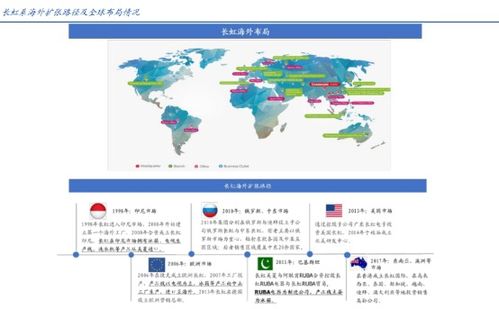 四川長虹半年報(bào) 揚(yáng)帆出海未來可期，營收逆市增長10.24%